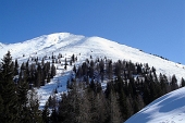 Salita invernale dagli Spiazzi di Gromo in CIMA TIMOGNO domenica 6 marzo 2011 - FOTOGALLERY